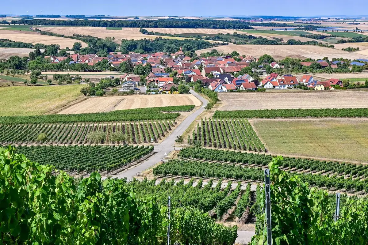 Weinberge mit Blick auf ein Dorf in Franken